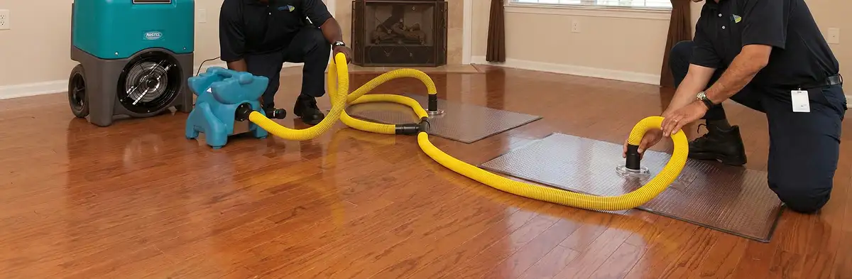 emergency water removal technicians extracting standing water from a home using professional equipment in Seattle, WA